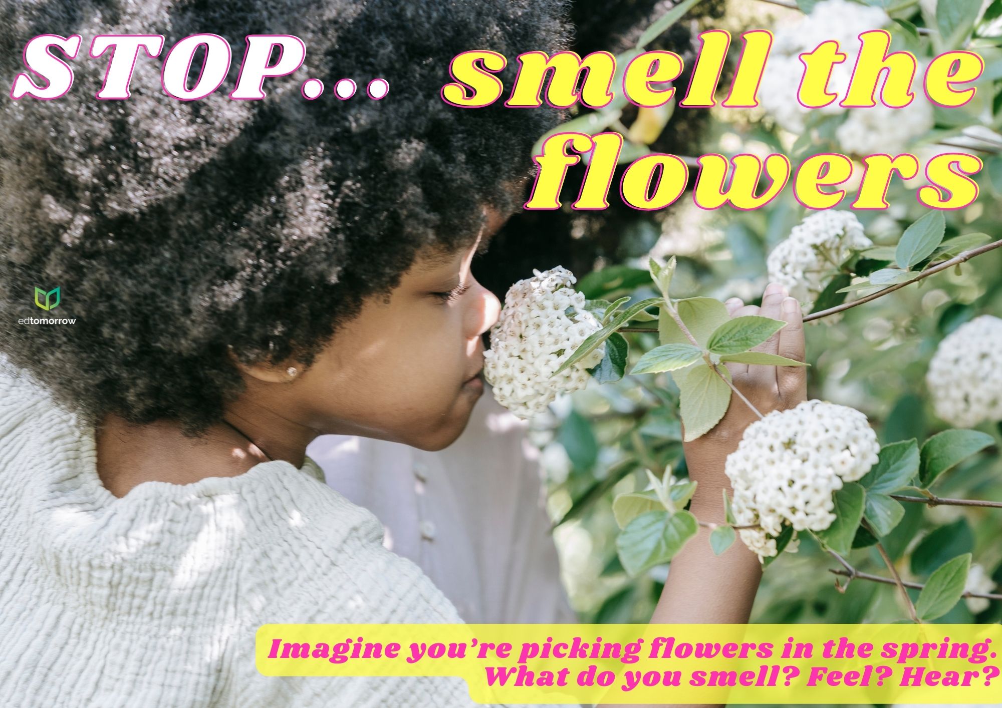 Picking Flowers in the Spring