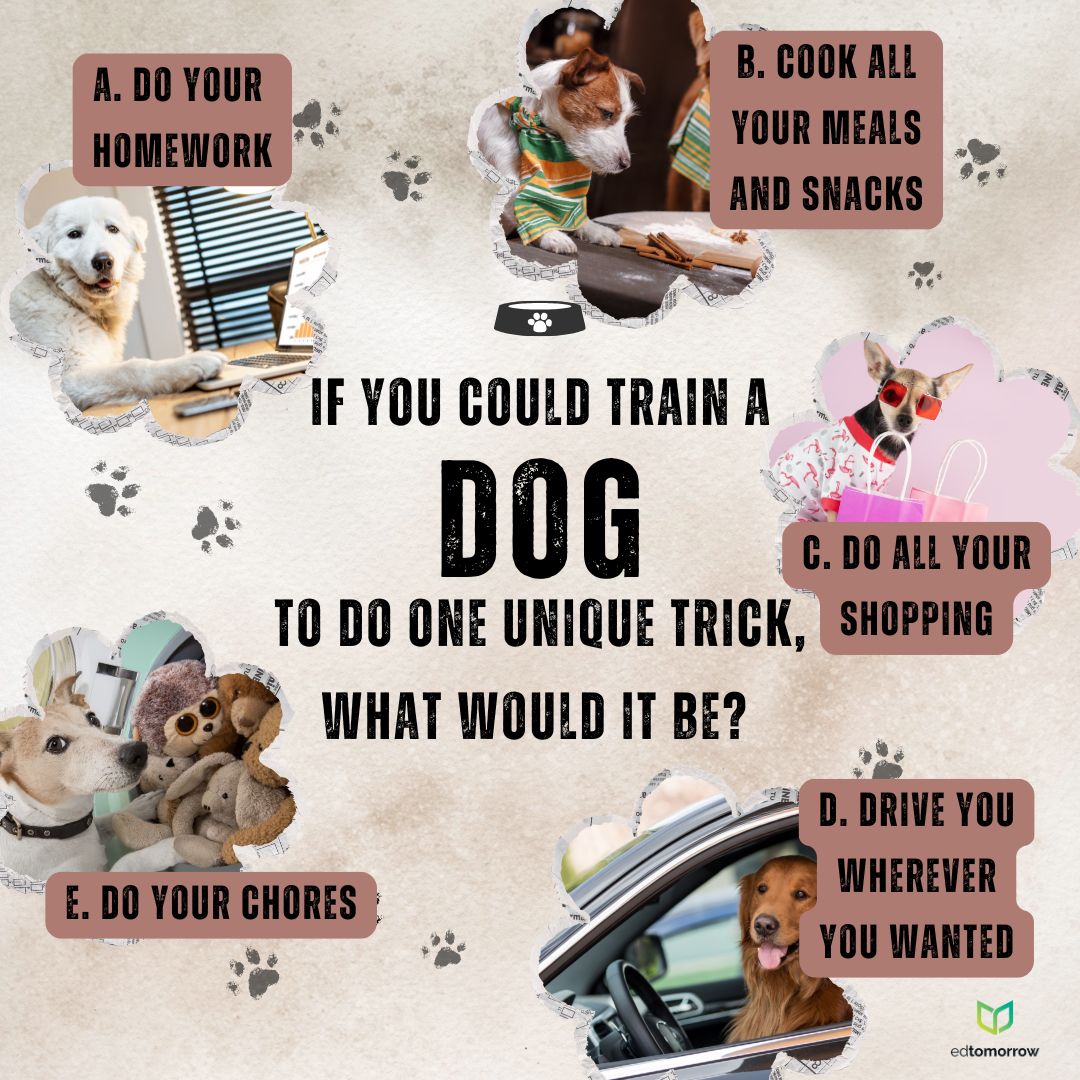 Train a Dog