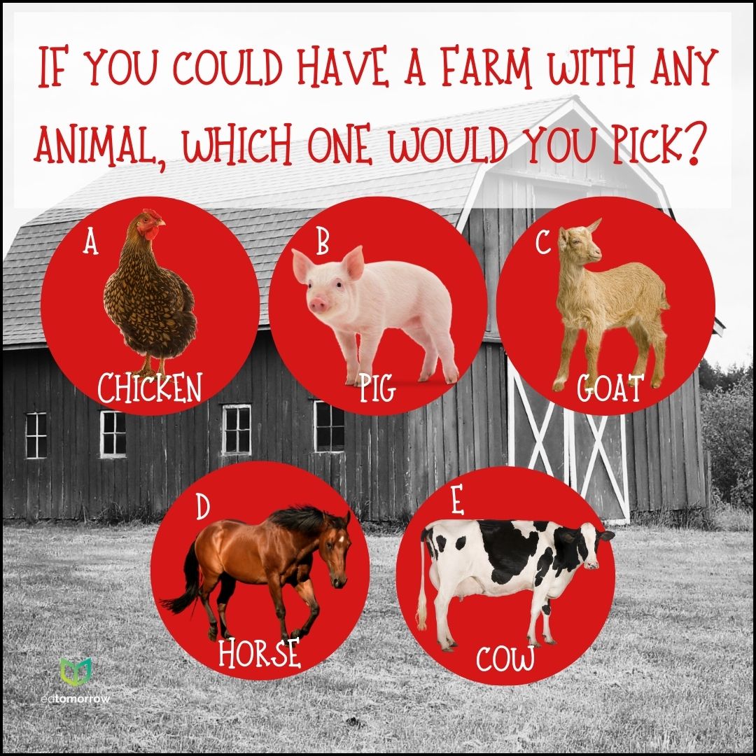 Pick an Animal for a Farm