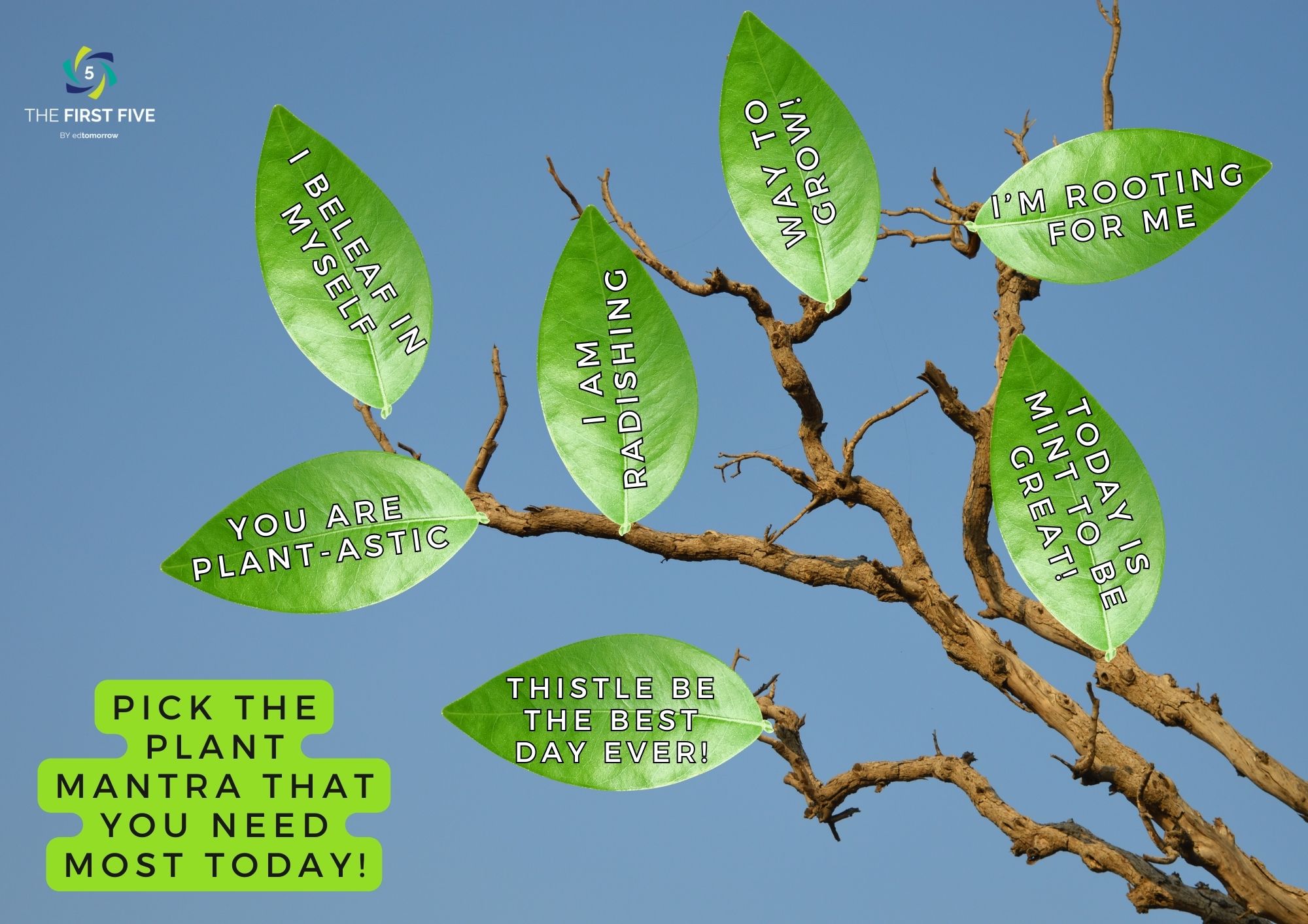 Plant Pun Mantras