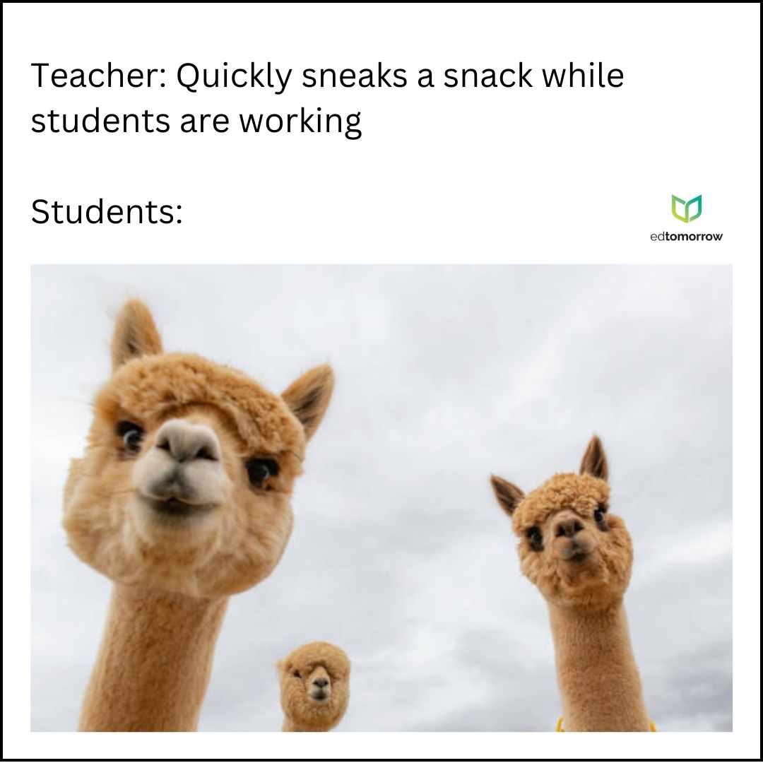 When Teachers Eat a Snack