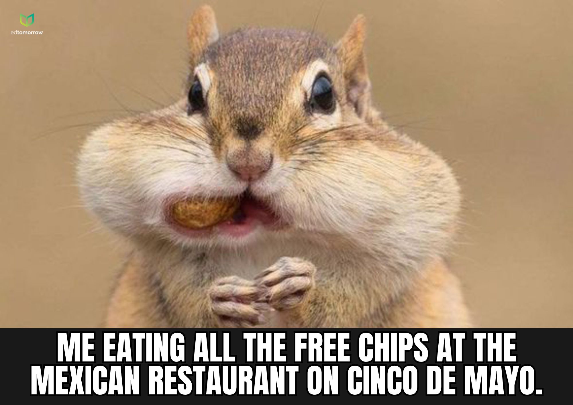 Eating Chips on Cinco de Mayo