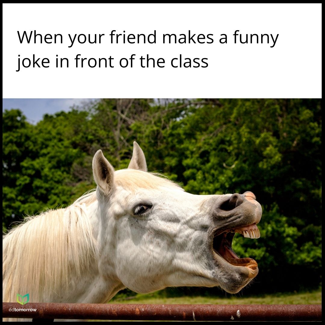 Funny Joke in Class