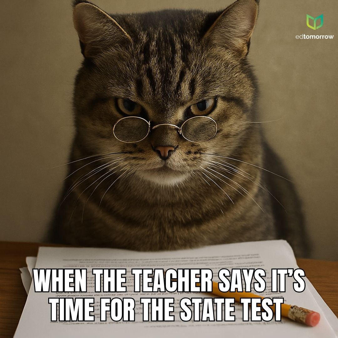Cat Ready for State Test