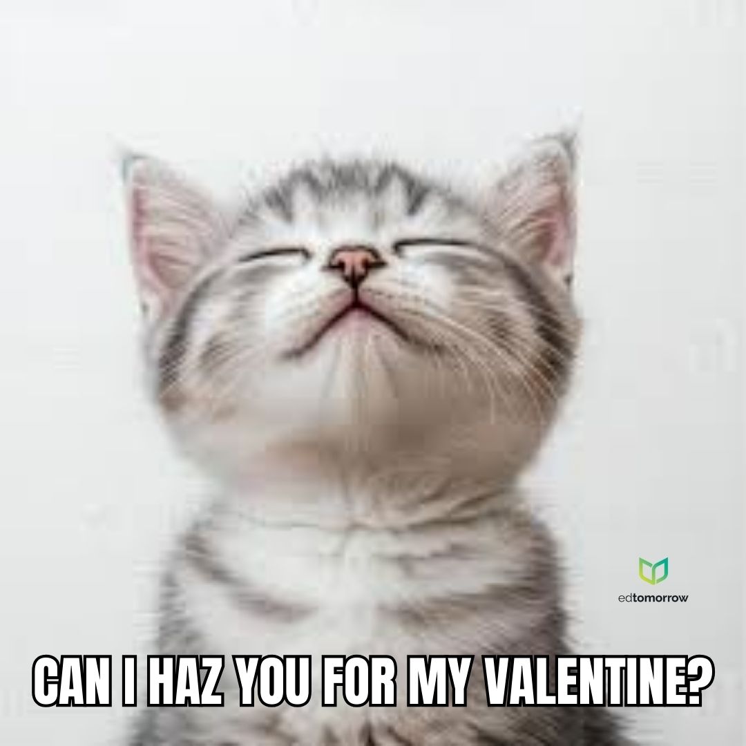Cat Be My Valentine