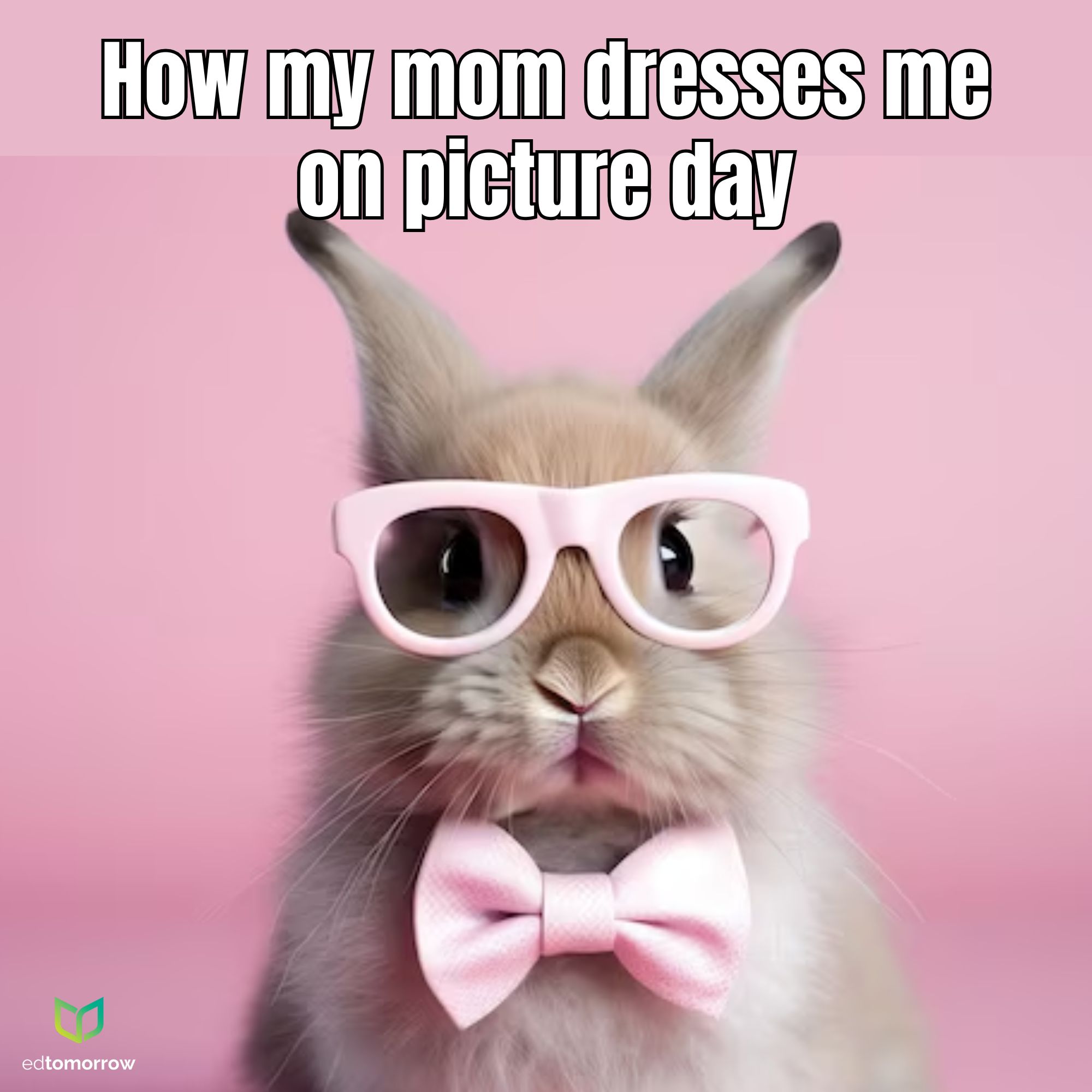 Bunny Dressed Up for Picture Day