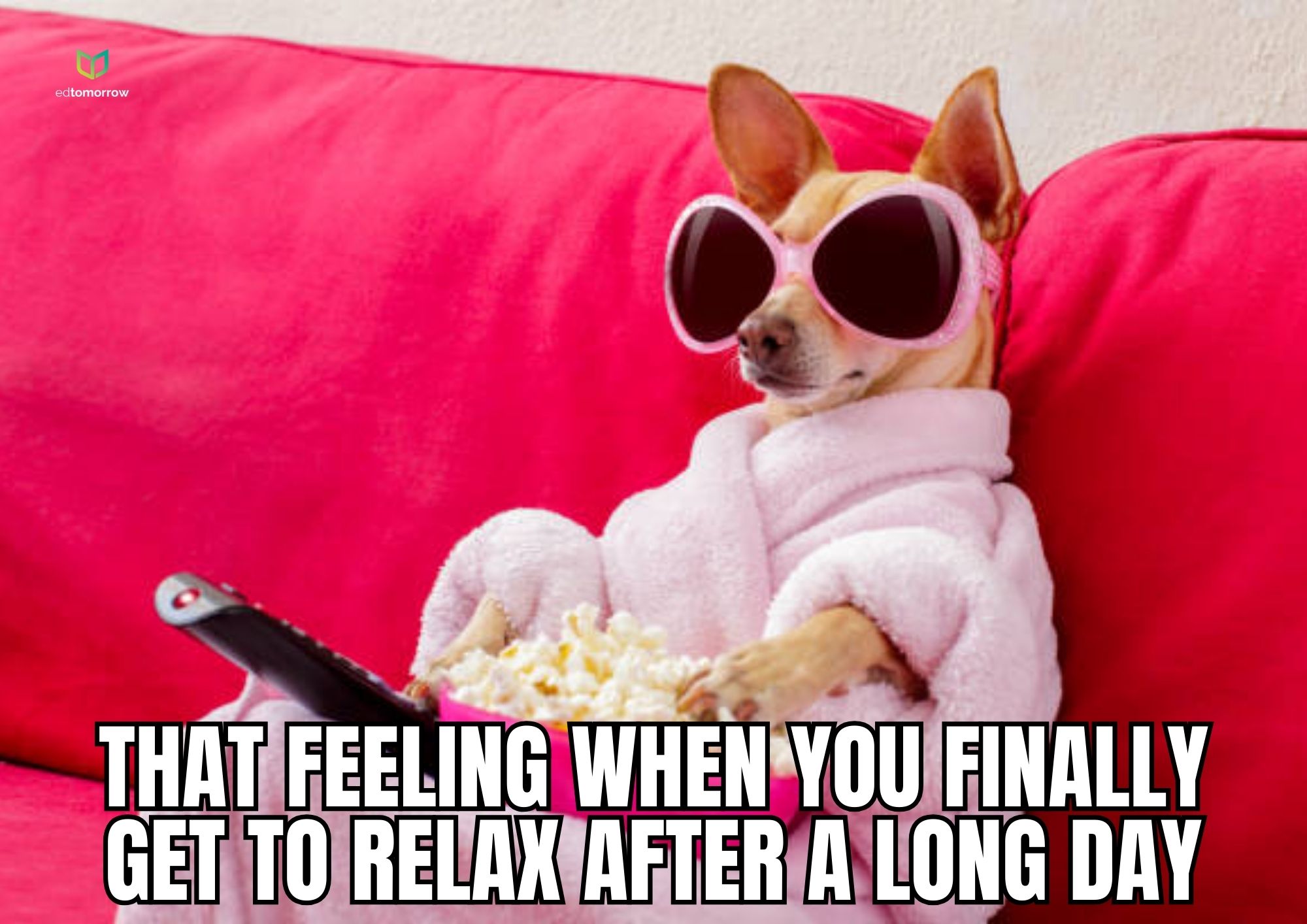 Dog Relaxing After Long Day