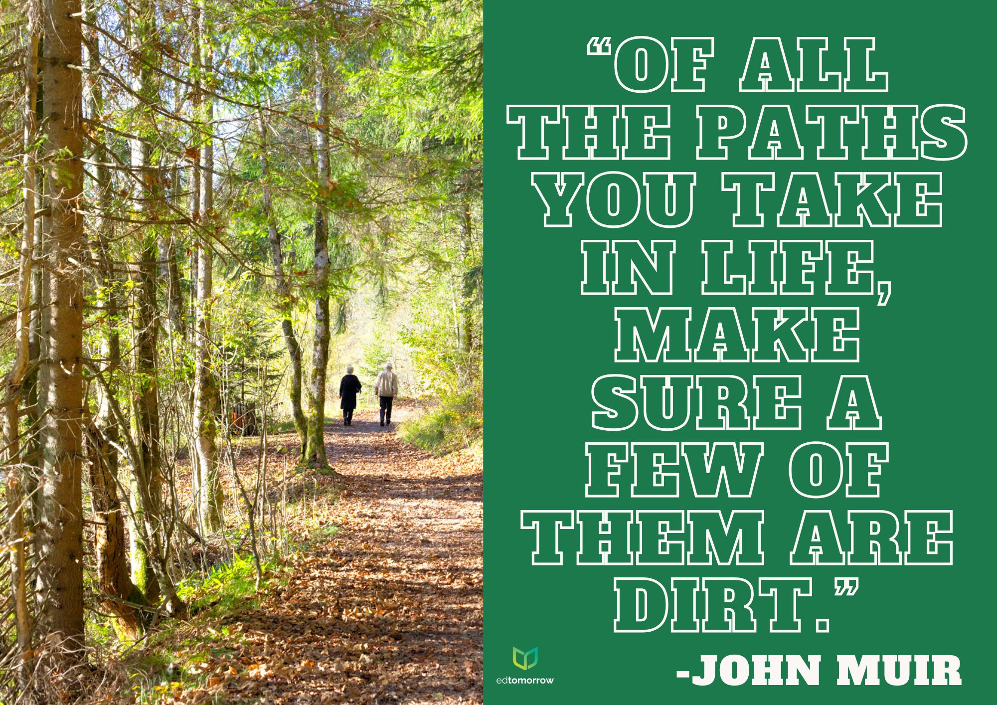 The Paths You Take