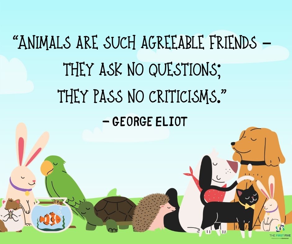 Animals are Agreeable Friends