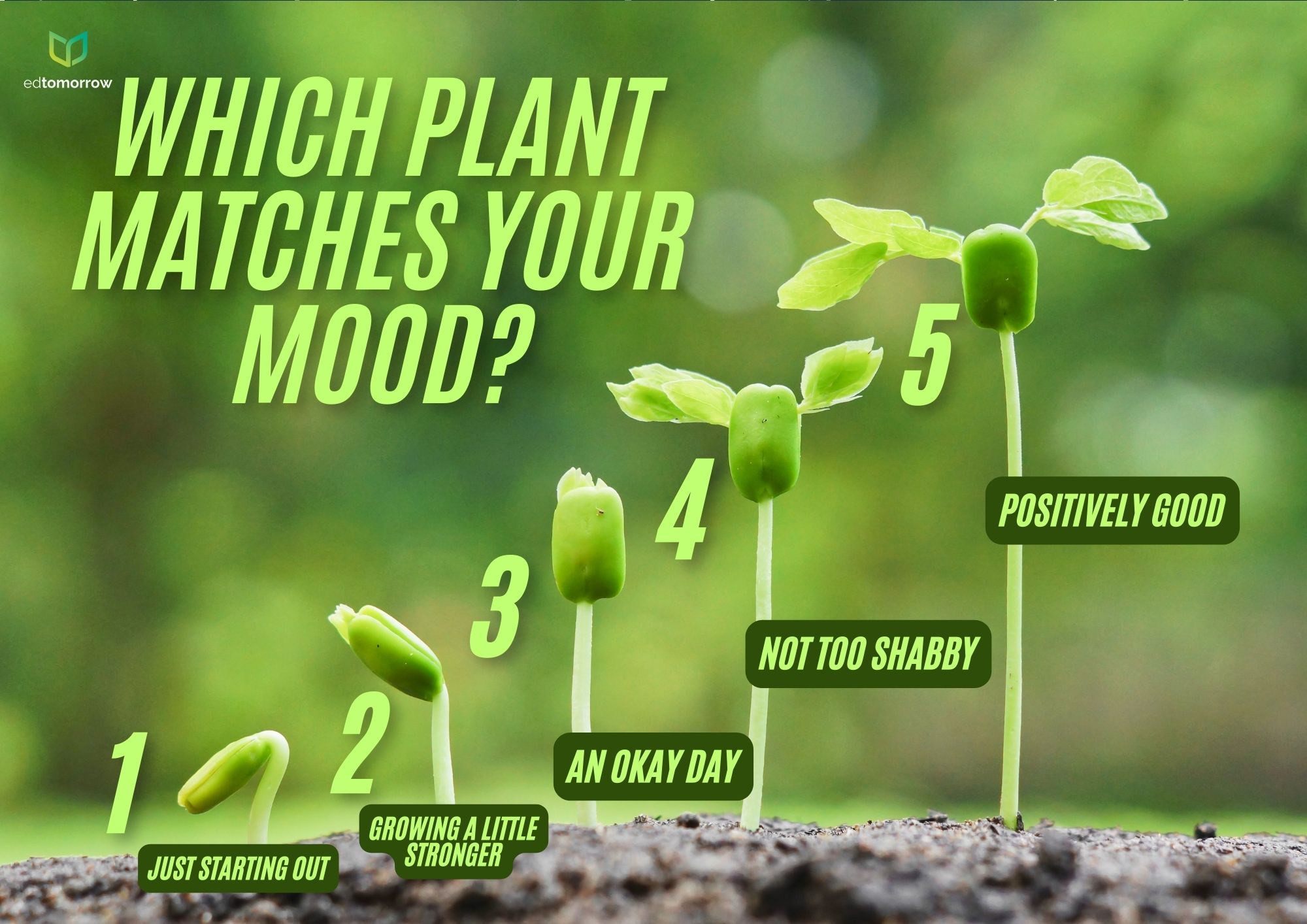 Earth Day Which Plant Matches Your Mood