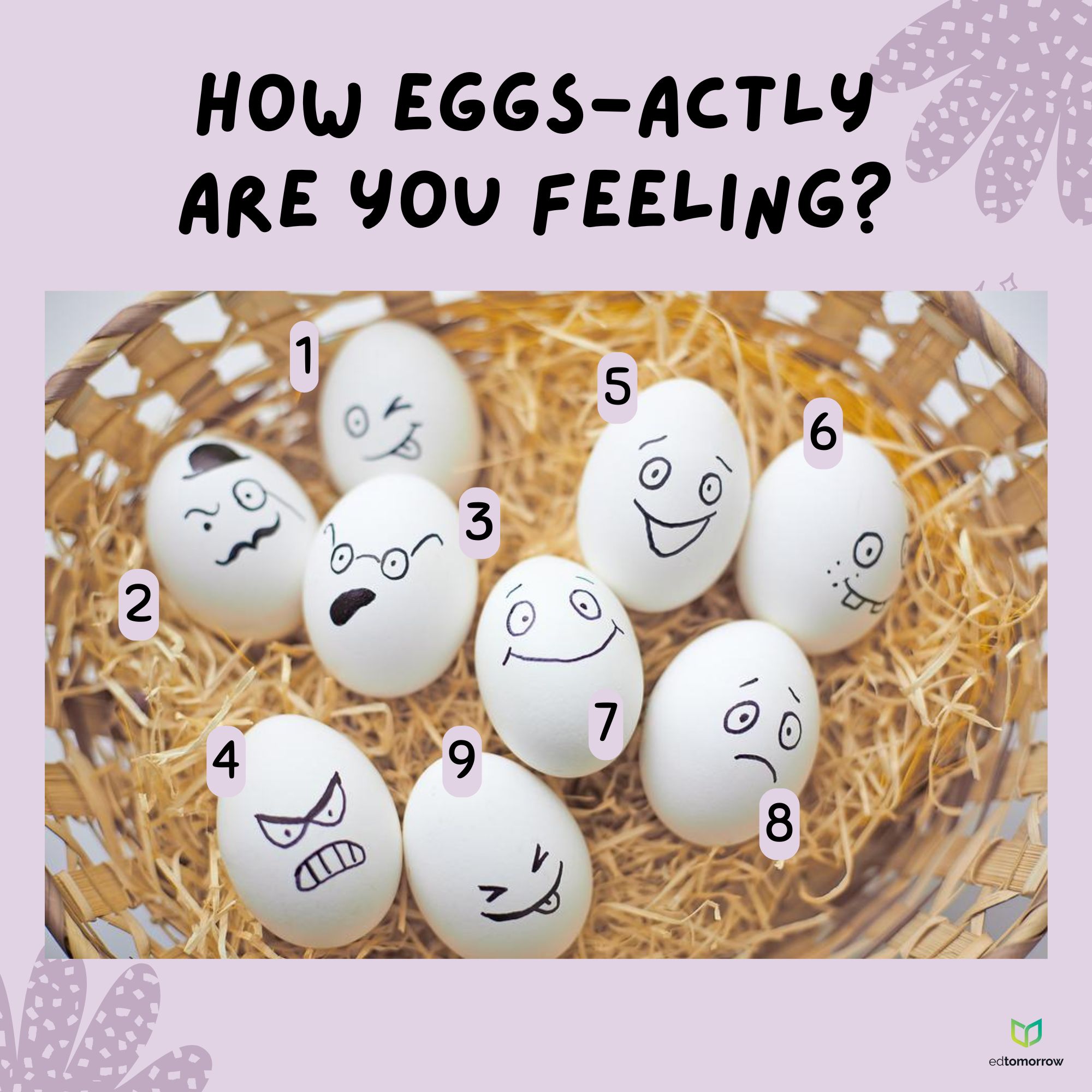 Egg Face Feelings