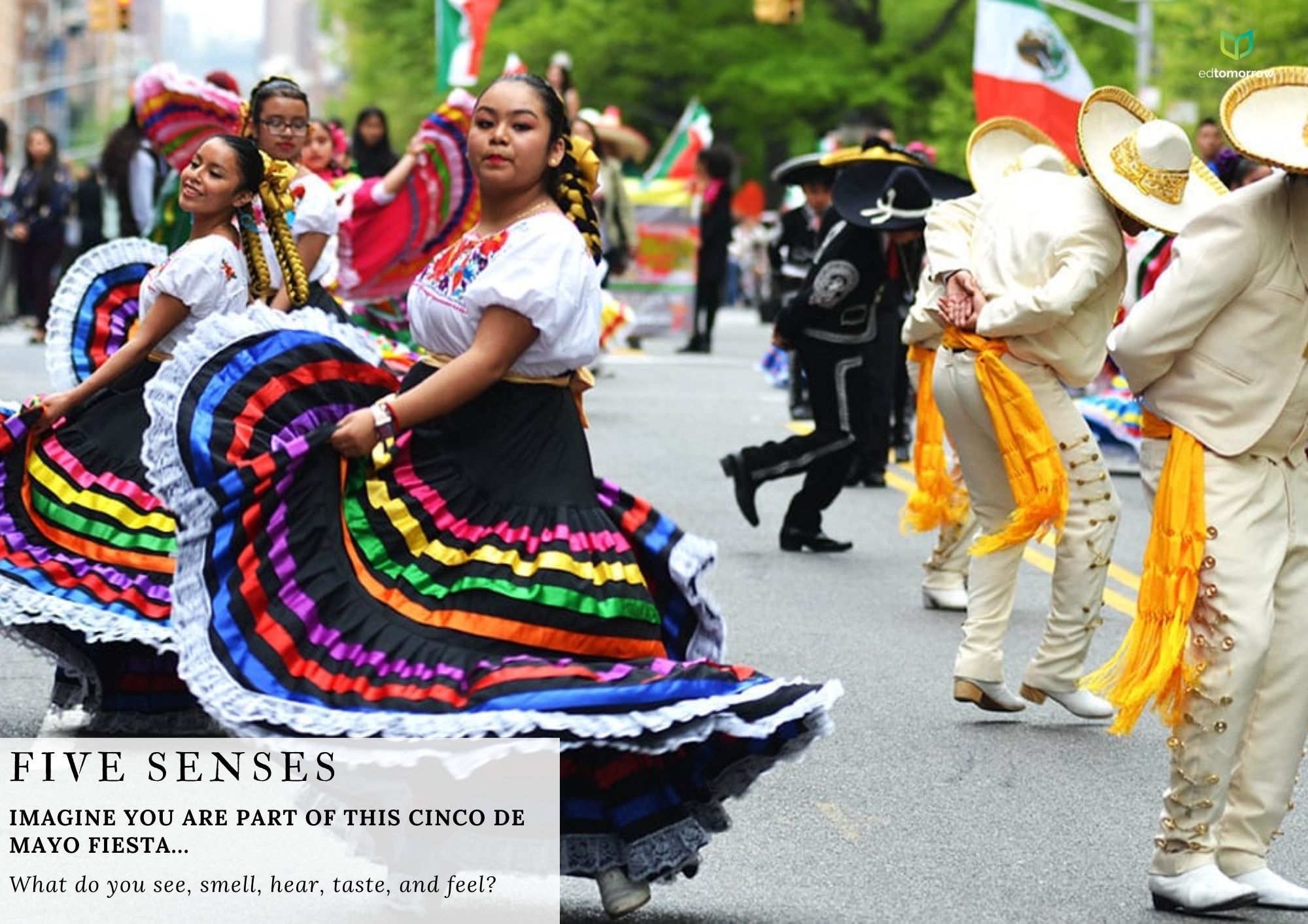 Cinco De Mayo 5 Senses