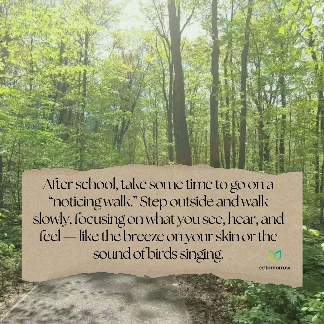 Noticing Walk