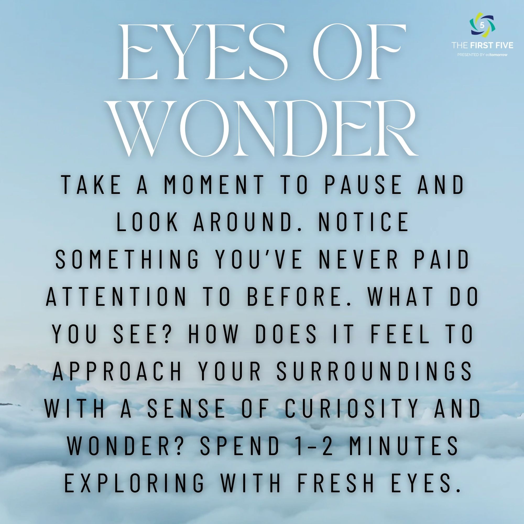 Eyes of Wonder Observation