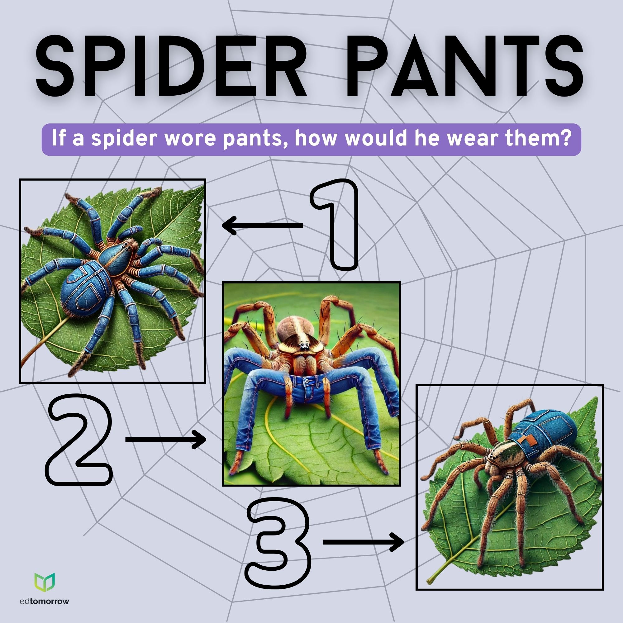 If a Spider Wore Pants