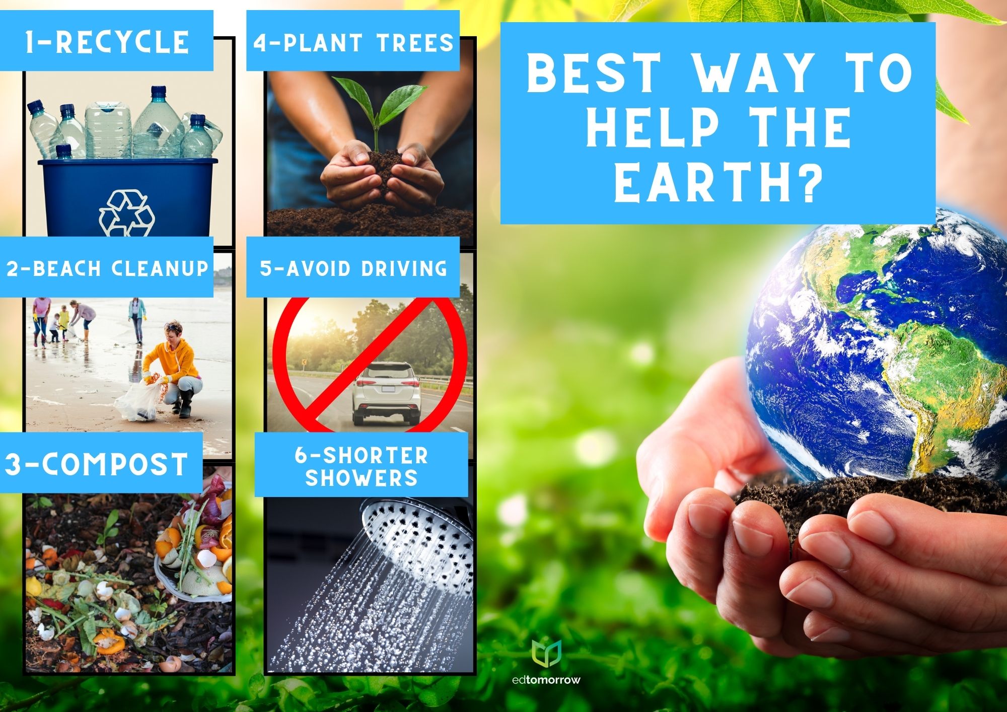 Best Way to Help the Earth