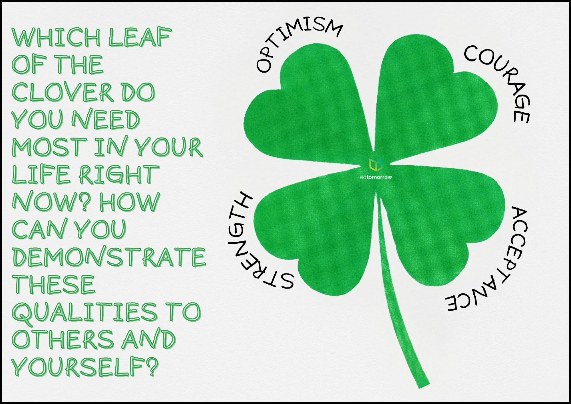 Clover Leaf Positive Qualities