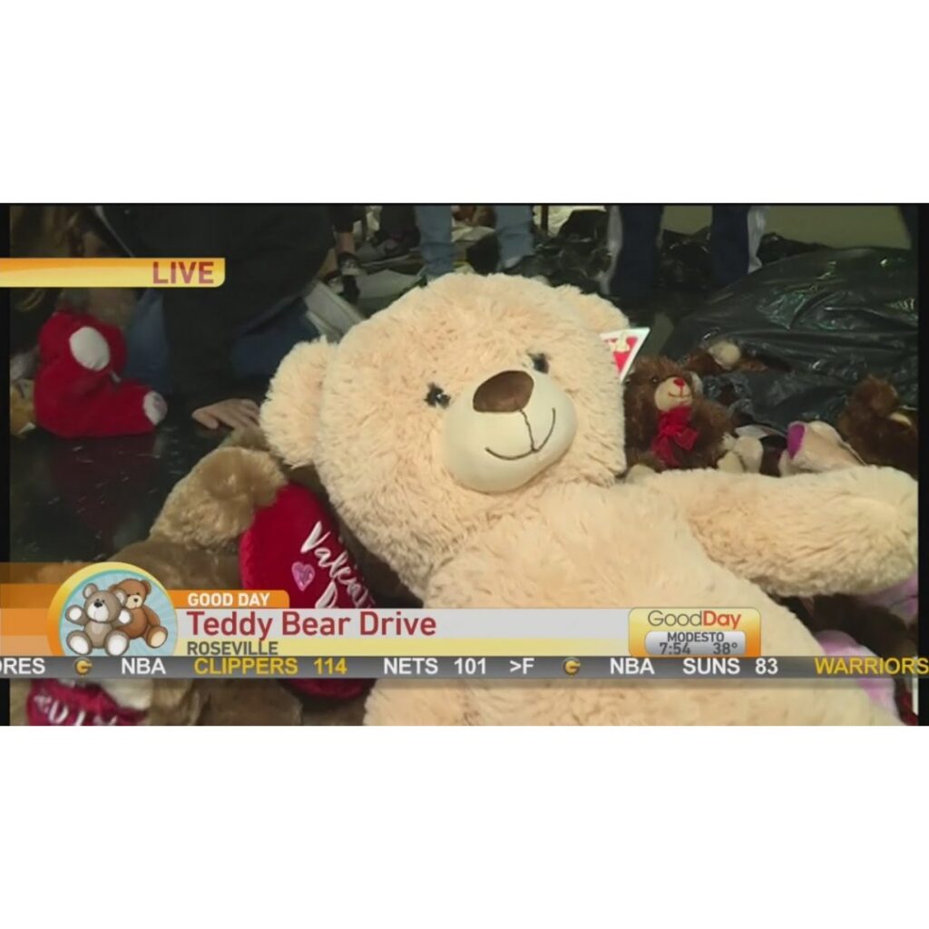 Teddy Bears For Kids