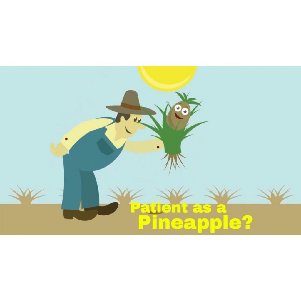 Patient Pineapple