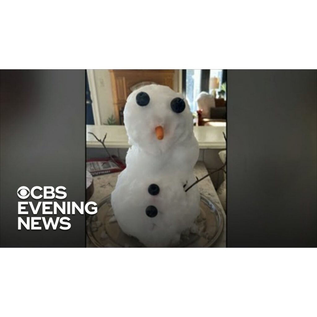 Snowman Who Melted Florida Students’ Hearts Takes On New Life