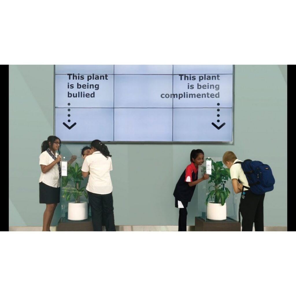Bully A Plant: Say No To Bullying