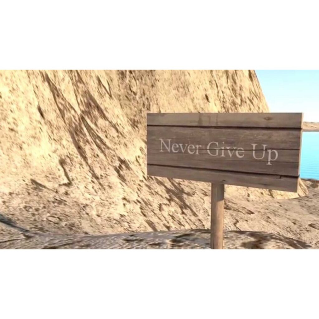 Rise I Never Give Up