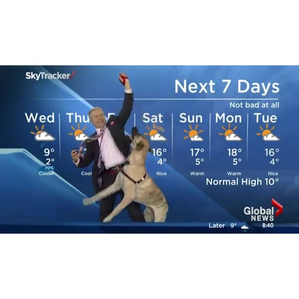 Ripple the dog doesnt care about the forecast