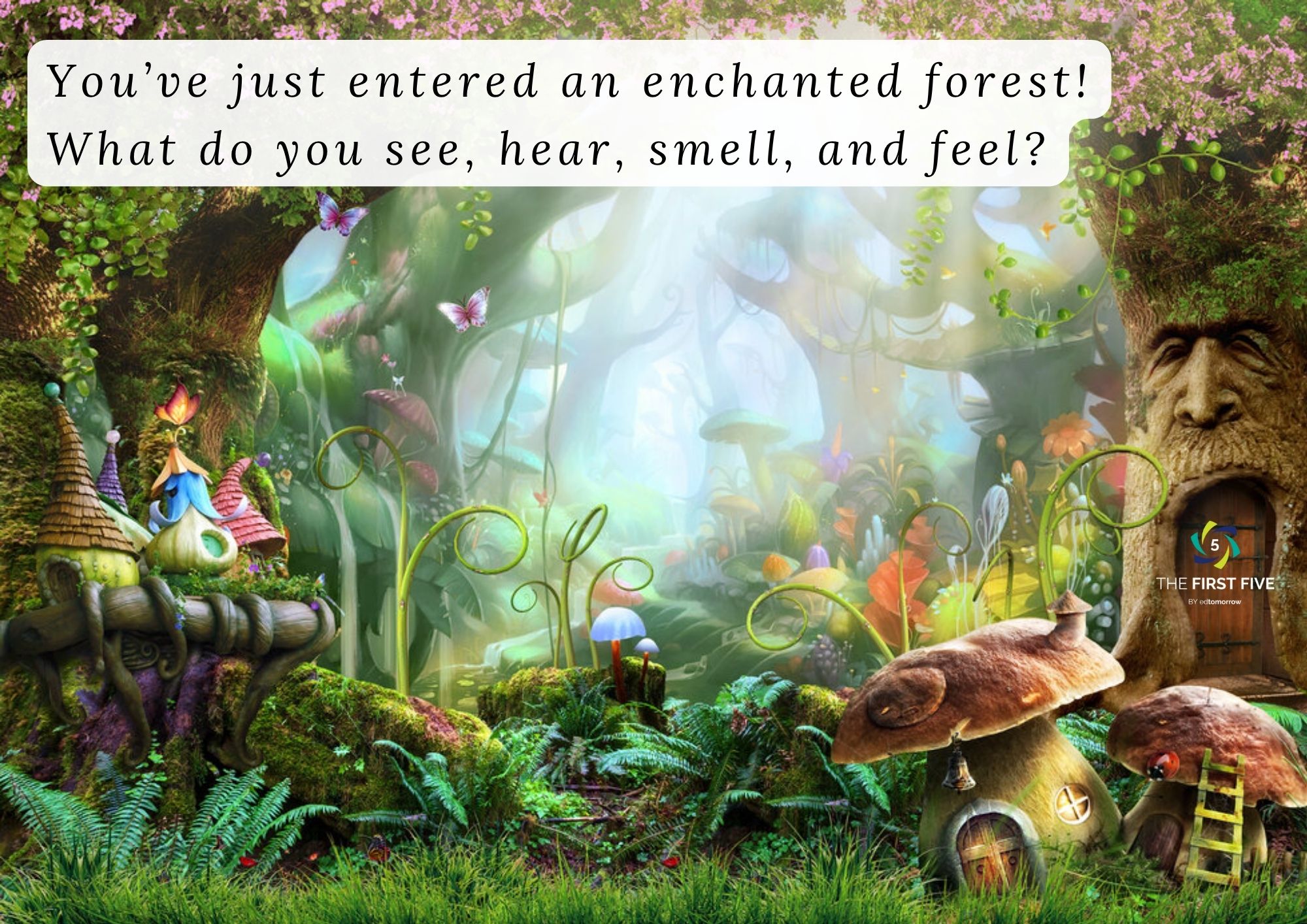 Enchanted Forest Senses