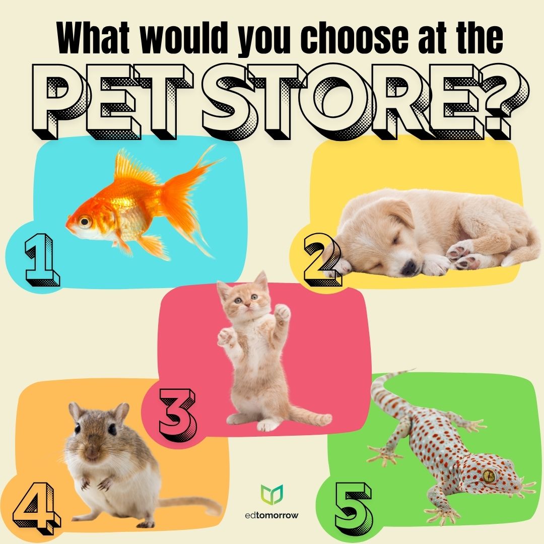 Pet Store Choice
