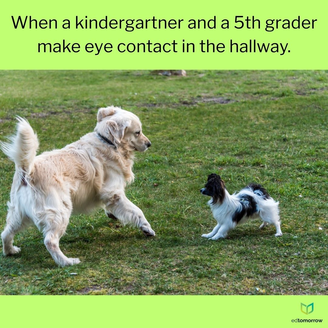 Hallway Encounter