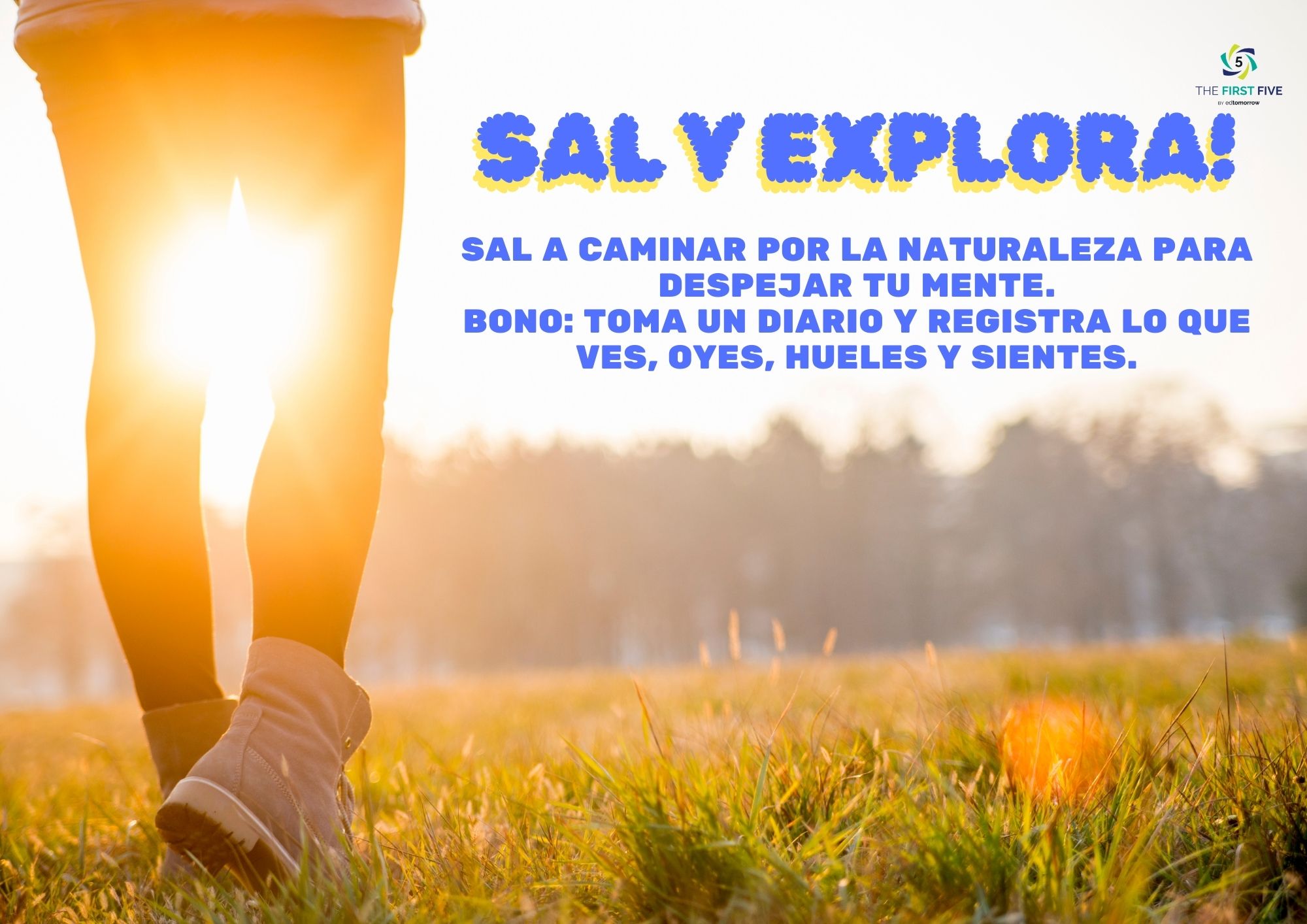 Sal y Explora