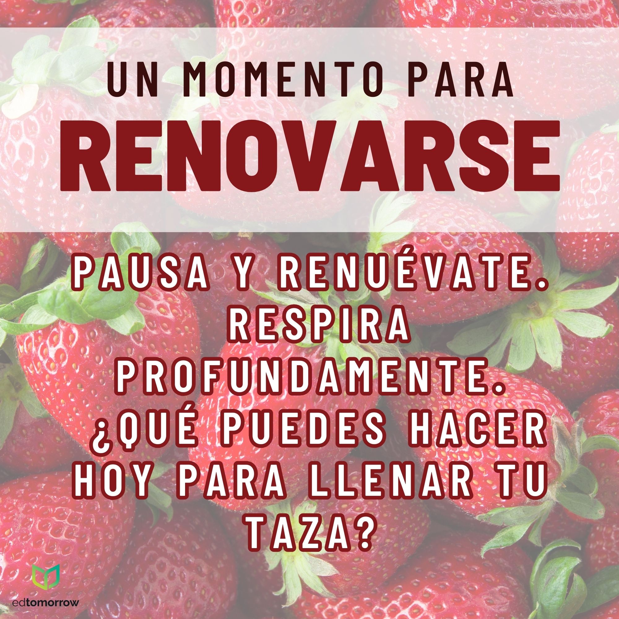 Fresas Renovarse Llenar Tu Taza