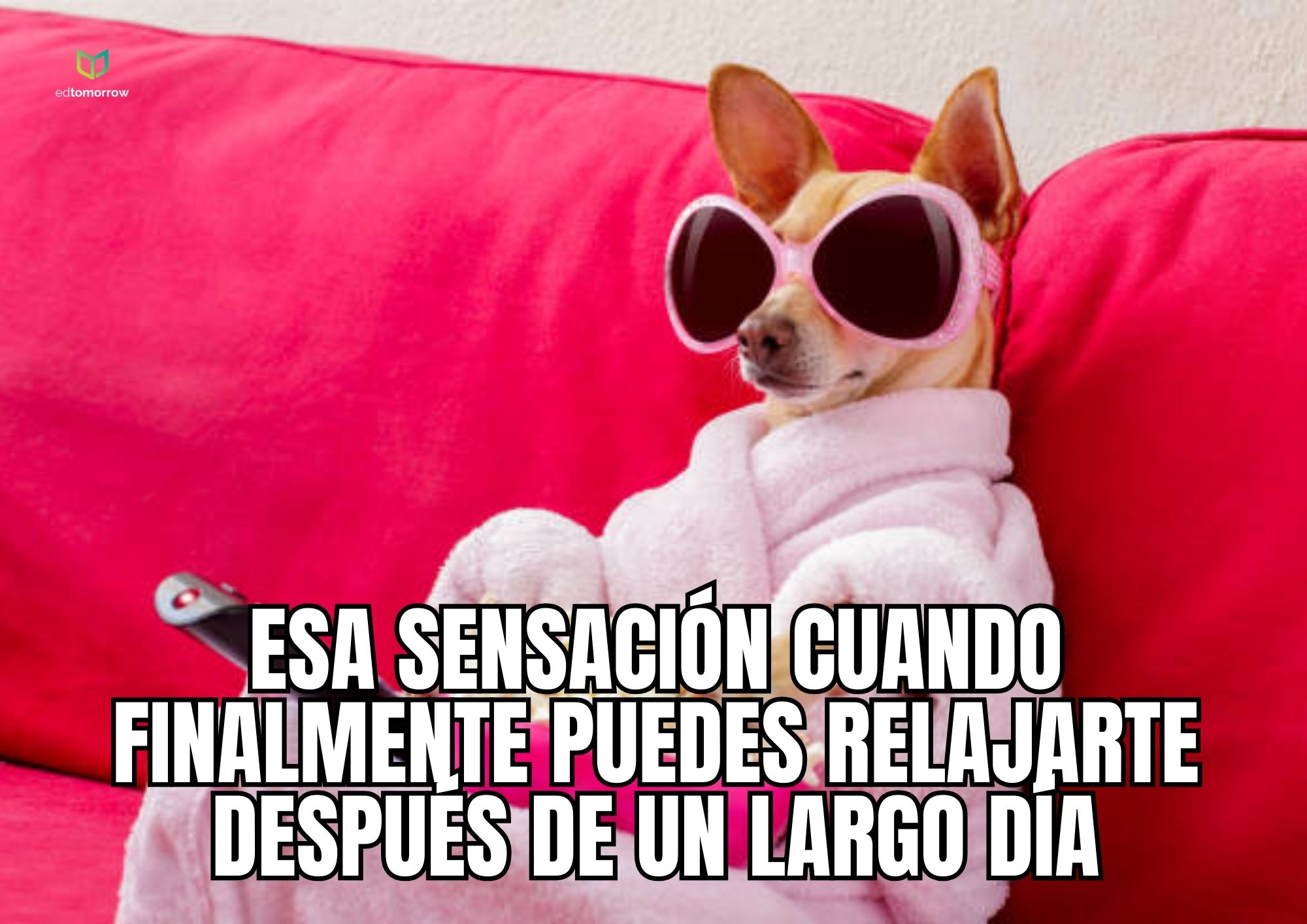 Chihuahua Largo Día