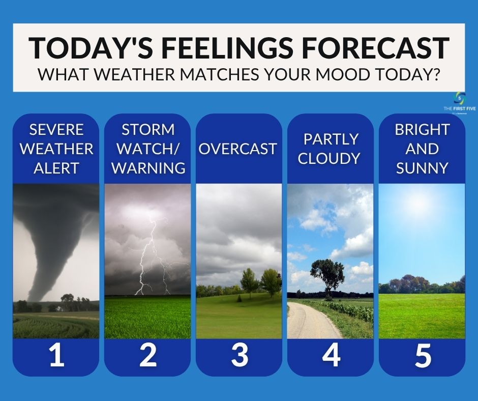 Feelings Forecast Weather Report