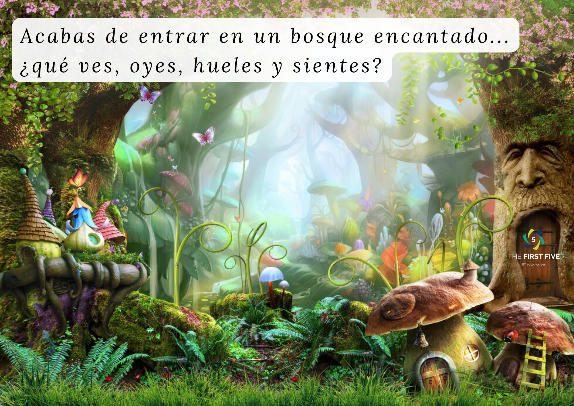 Bosque Encantado