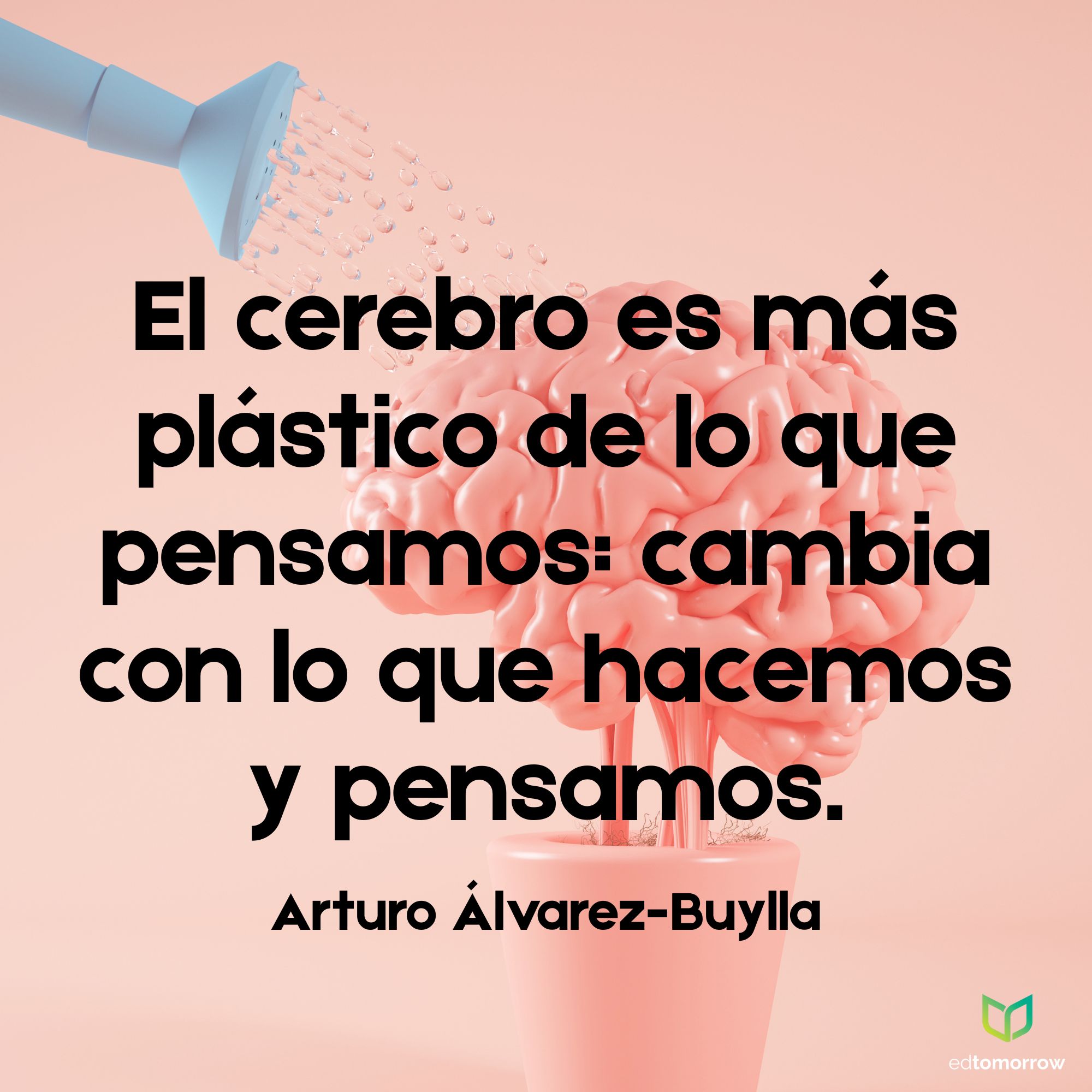 Arturo Álvarez-Buylla Cerebro Plástico