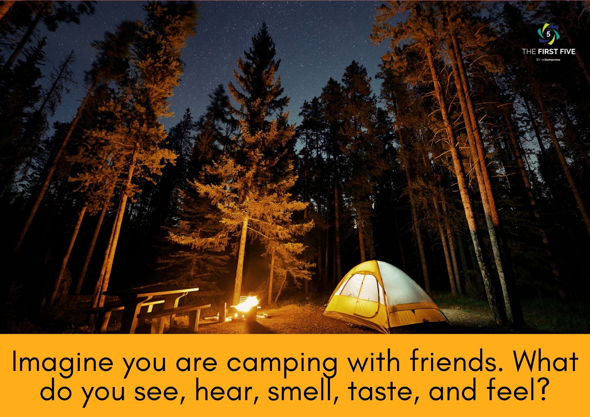 Camping Senses