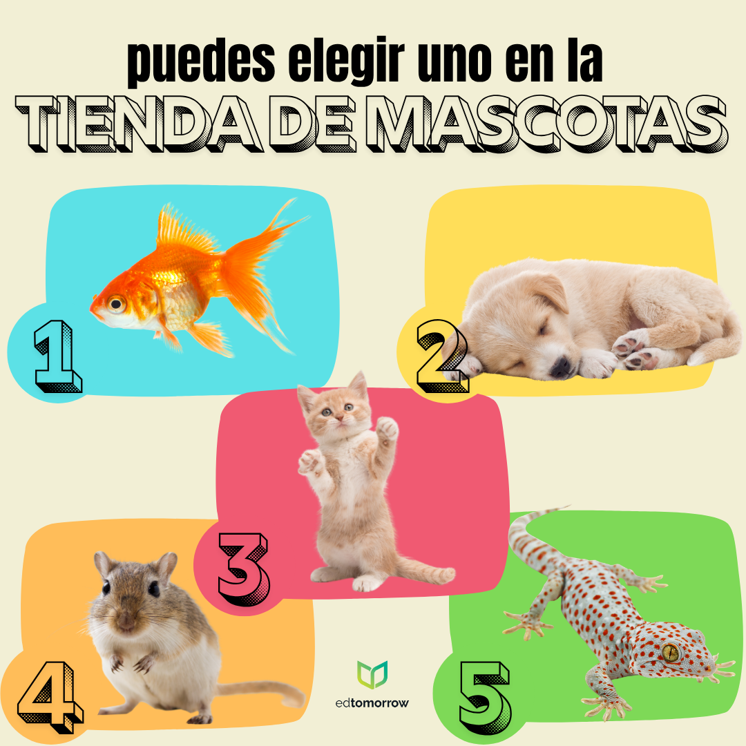 Elección de Mascota