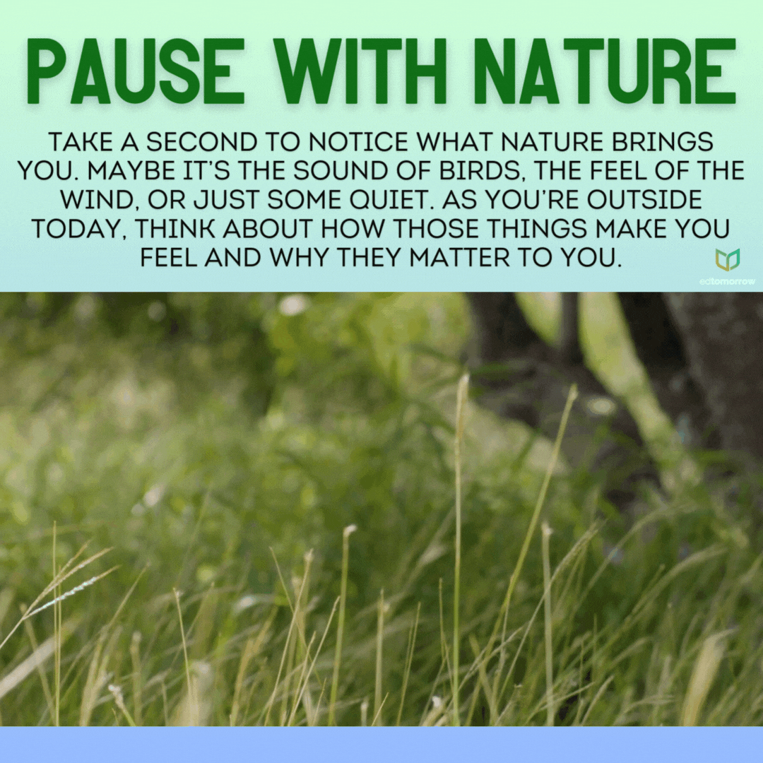 Pause with Nature