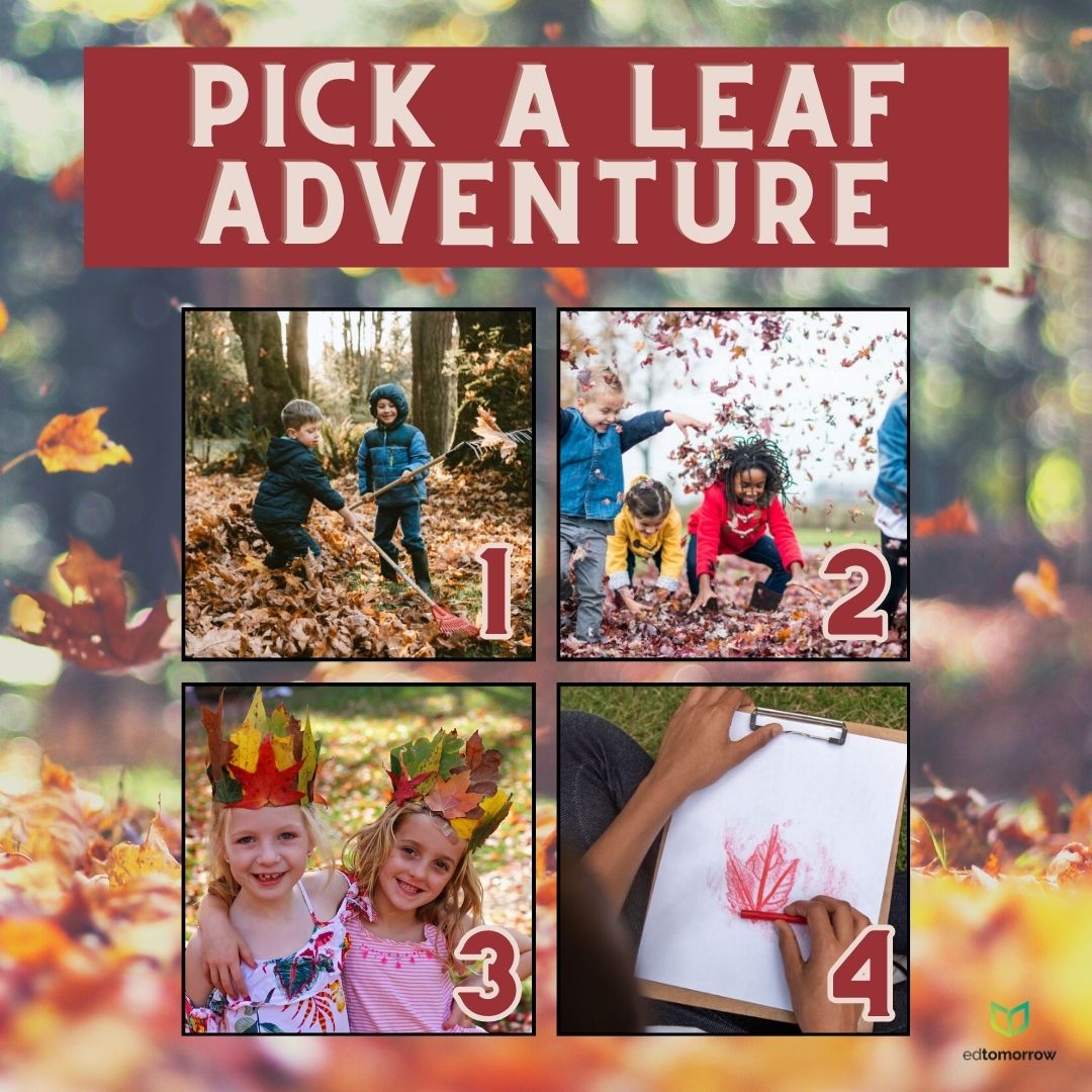 Leaf Adventure