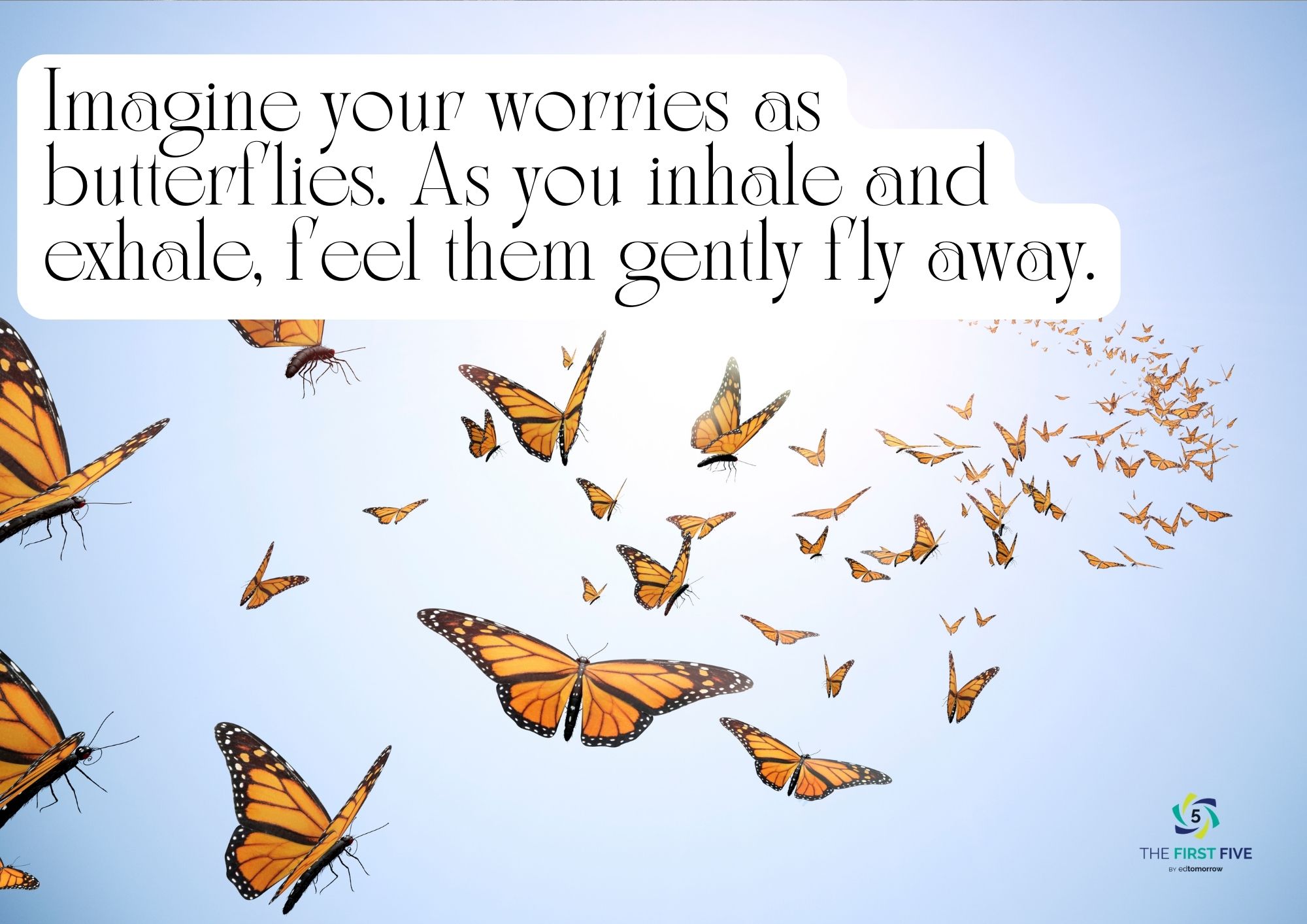 Butterfly Worries
