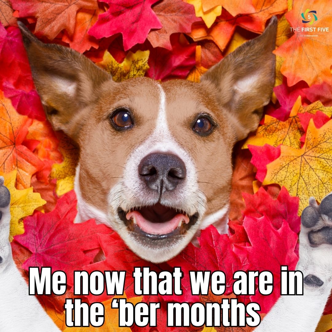 Fall Dog in Leaves