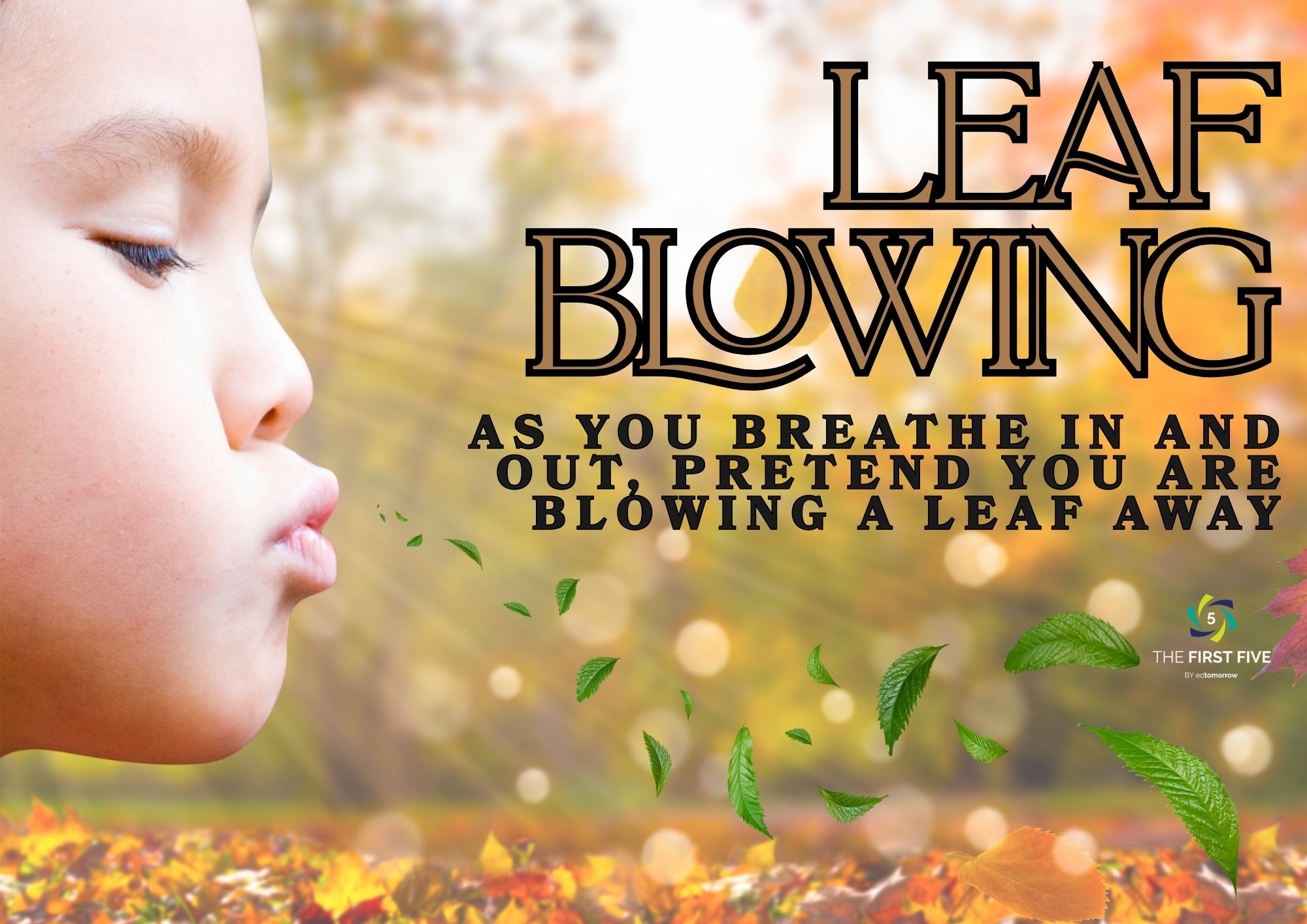 Leaf Blowing