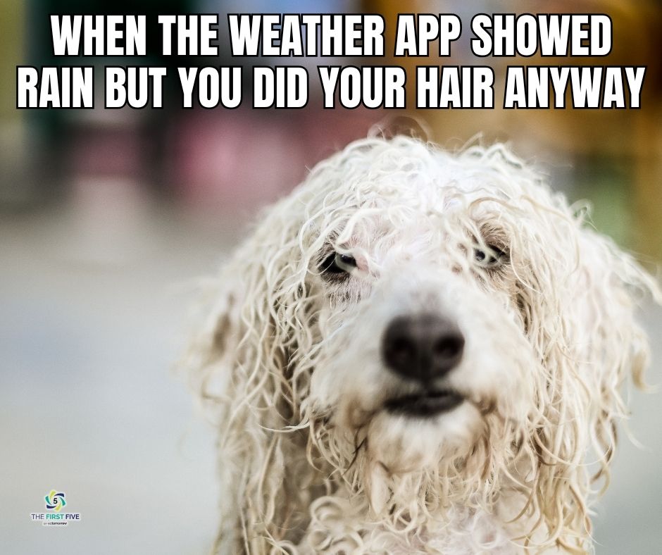 Bad Weather Dog Hair