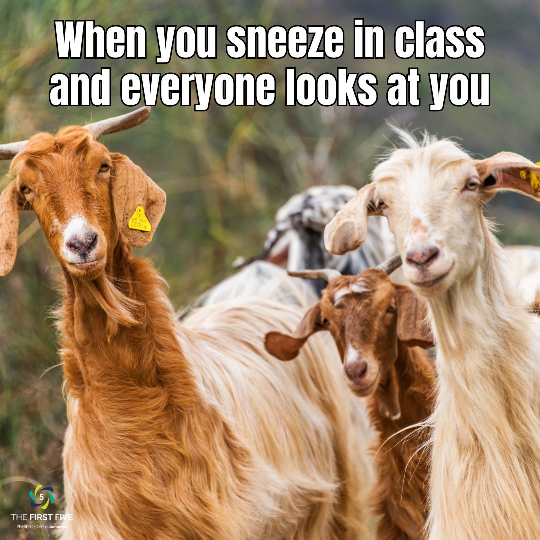 Sneezing in Class