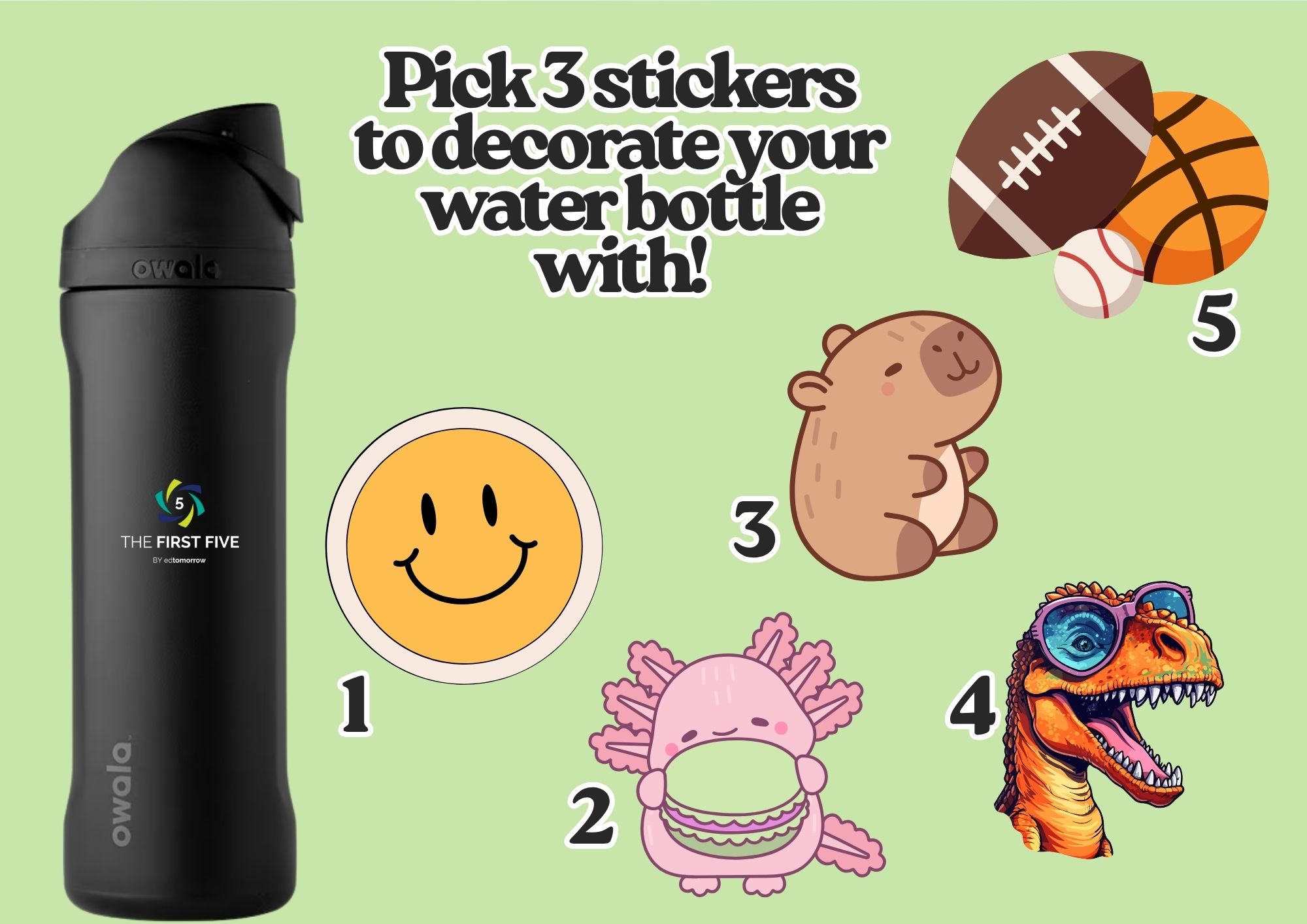 3 Water Bottle Stickers
