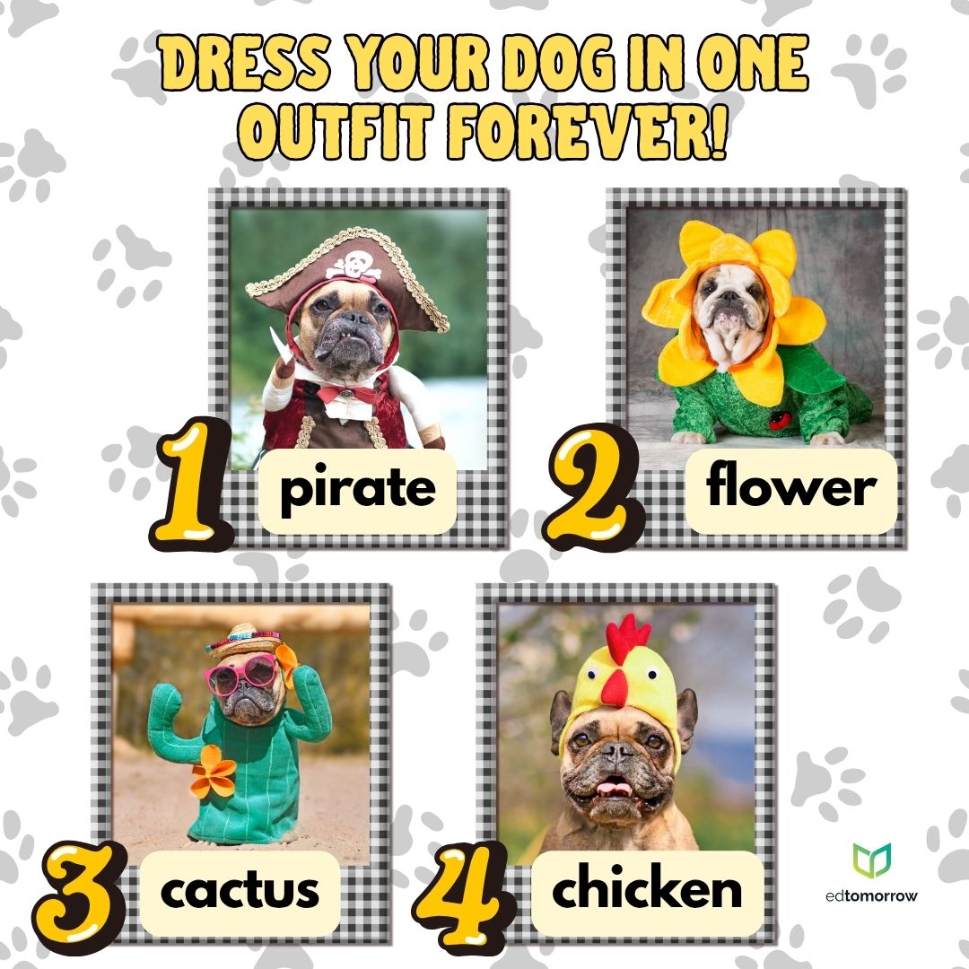Dog Outfit for Life