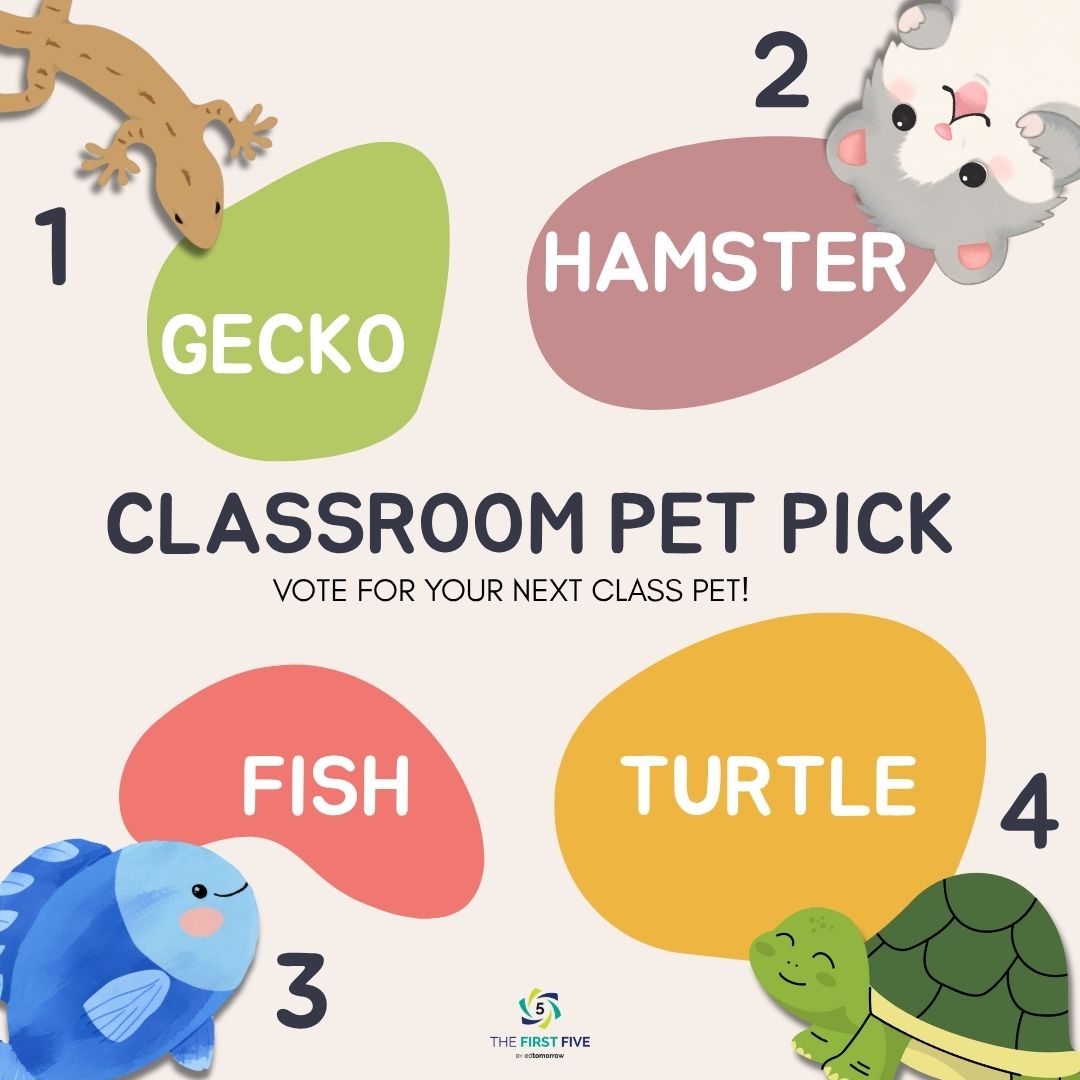 Classroom Pet Vote