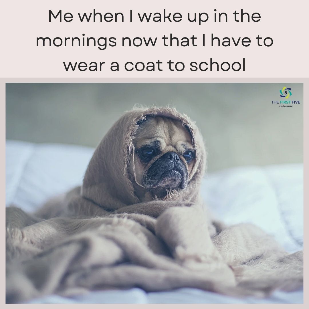 Cozy Morning Blanket
