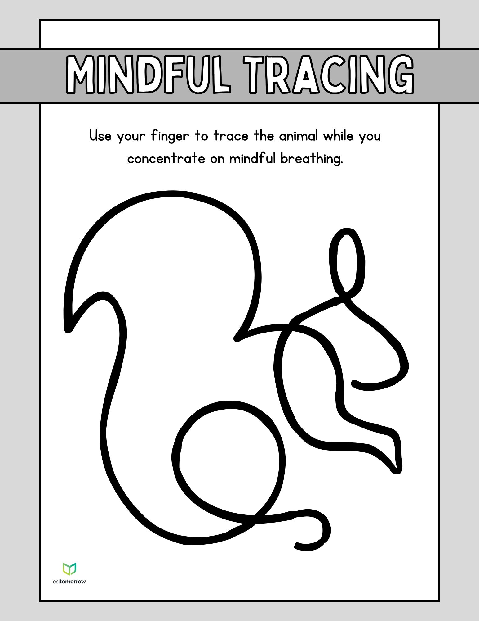 Mindful Animal Tracing